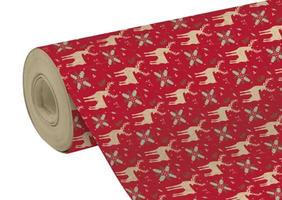 Obrázek produktu pro Clairefontaine 223901C, Dárkový balicí papír, Vzorovaný, 70 g/m², 5 m, 700 mm