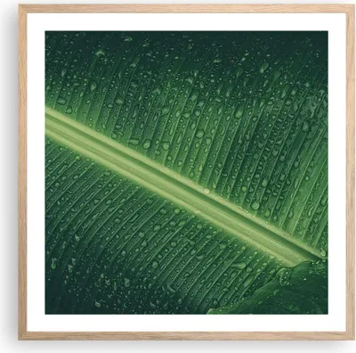 Produktbild von Gerahmtes Poster - Rahmen in heller Eiche - Makro Blatt Tropfen - 60x60 cm - Wand Bild - Wanddeko - Wandbilder - Kunstposter - Wandposter - Bilderrahmen - Bilder - Kunstdruck - P2NAC60x60-4372