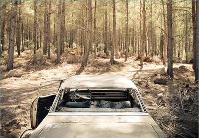 Produktbild von Wallario Fototapete Vliestapete, seidenmatte Oberfläche, einfache Verarbeitung, Größe 200 x 140 cm, Motiv Verrosteter Oldtimer im Wald