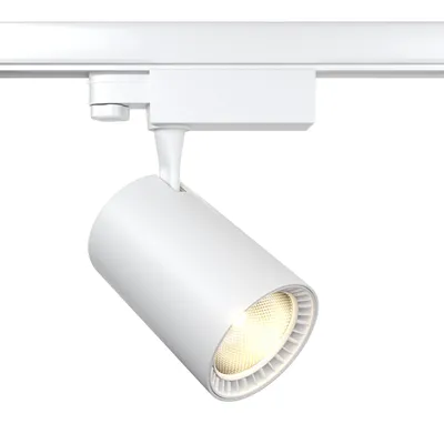 Produktbild von Maytoni TR029-3-30W4K-W, LED, 4000 K, 2400 lm