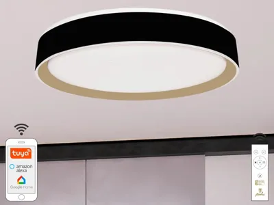 Obrázok produktu pre LED stropná lampa OPAL + diaľkový ovládač + Wifi 48W - LC902MB