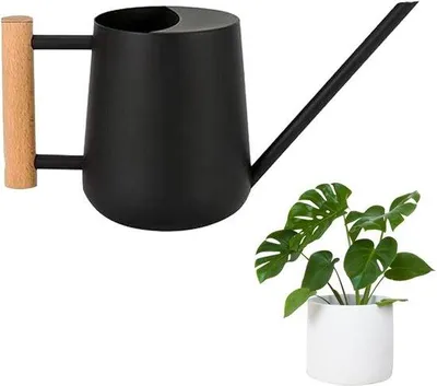 Produktbild von Gießkanne für Pflanzen – Innenbereich – Pflanzenpflege – Langer Ausguss – 10 cm – Schwarz