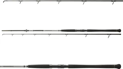 Produktbild von Daiwa Powermesh CF Boje 3,30m 150-400g