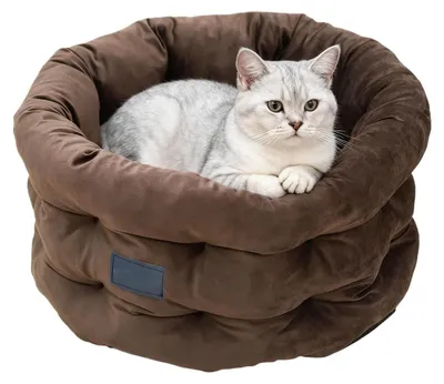 Image de Panier pour chat lavable avec bord surélevé pour plus de confort