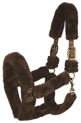 Produktbild von Waldhausen Halfter Cozy Braun VB