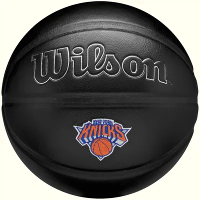 Immagine prodotto di Palloni Wilson WZ4026420XB