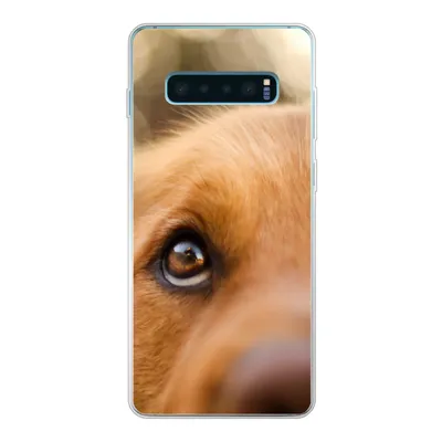 Produktbild von MuchoWow® Handyhülle Schutzhülle Hülle für Samsung Galaxy S10 Plus Das Glitzern im Auge des Golden Retrievers Silikon Softcase Handy Hülle - Schutzhülle