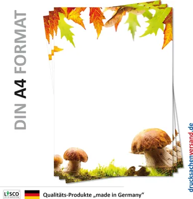 Produktbild von Motiv Briefpapier (Herbst-5128, DIN A4, 100 Blatt) grün braun herbstliche Waldwiese mit Steinpilzen und buntes Ahorn-Laub Gras Motivpapier Laub Blätter