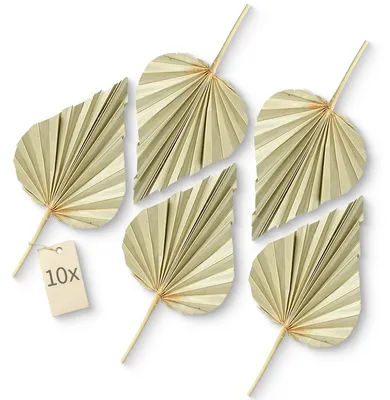 Immagine prodotto di Foglia di palma boho decorazione essiccata set di 10 foglie di palma 11 - 13 cm