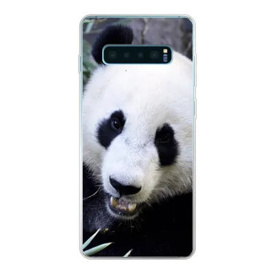 Produktbild von MuchoWow® Handyhülle Schutzhülle Hülle für Samsung Galaxy S10 Lite Panda - Tier - Blätter Silikon Softcase Handy Hülle - Schutz