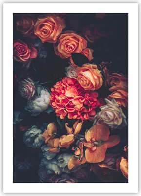 Produktbild von Poster - Poster ohne Rahmen - Blumenstrauß Blumen Rosen - 50x70 cm - Wand Bild - Wanddeko - Wandbilder - Kunstposter - Wandposter - Bilder - Kunstdruck - Wanddekoration - Wandbild - P2XPA50x70-5002