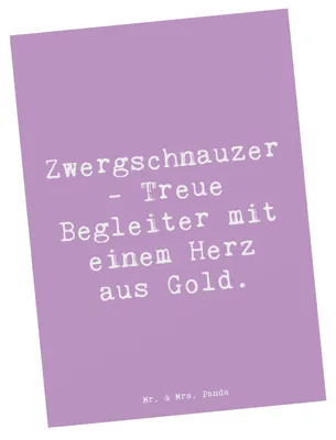 Produktbild von Mr. & Mrs. Panda Postkarte Spruch Zwergschnauzer Herz - Lavendeltraum - Geschenk, Freude, Hunderasse, Ansichtskarte, Ansichtskarten, Hunderassen, Beschreibung, Grußkarte