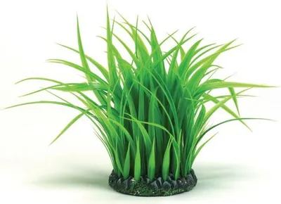 Obrázek produktu pro biOrb Grass ring S green