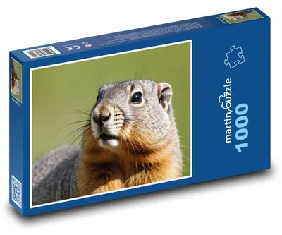 Zdjęcie produktu dla Puzzle 1000 Świstak w naturze - martinpuzzle