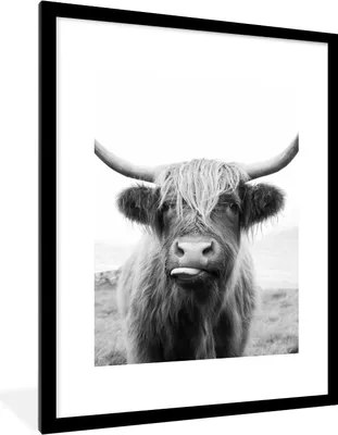 Produktbild von MuchoWow® Gerahmtes Poster Tiere - Schottischer Highlander - Kuh - Schwarz - Weiß 60x80 cm - Poster mit Schwarzem Bilderrahmen Wandposter Rahmen Foto Bilder - Wohnzimmer - Dekorationen - Prämie