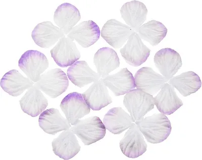 Produktbild von HORTENSIONEN Papierblumen, lila 50mm - 100 Stück