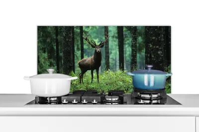 Obrázok produktu pre MuchoWow® Splashback Kuchyňa - Kuchynský backsplash - Ochrana steny pre sporák a drez Jeleň - Les - Stromy - Zvieratá - Príroda 80x40cm Alu-Dibond