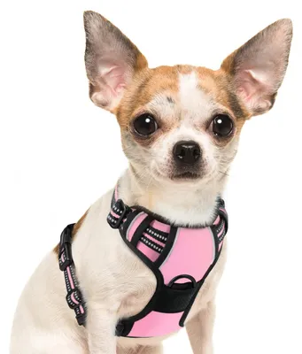 Imagen del producto de Arnés para perros anti-tirones, ajustable, acolchado, talla S, con reflectantes, para perros pequeños
