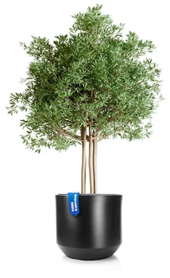 Produktbild von Pflanzkübel Blumentopf Pflanzschale - Rund - Ø 58 cm - Anthrazit - Mit Innentopf