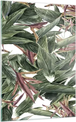 Produktbild von Bilder auf glas - Einteilig - Pflanze Blatt Blume - 50x70cm - Glasbilder - Wandbilder - Bilder - zum Aufhängen bereit - Wanddekoration aus Glas - Glas Bilder - Wandbild auf Glas - GPA50x70-3844