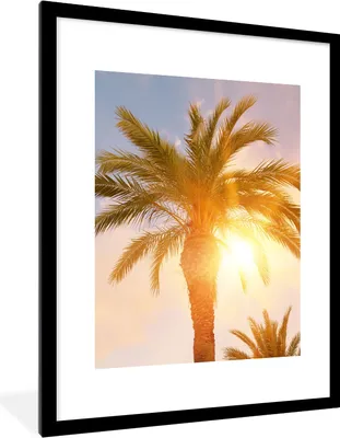Produktbild von MuchoWow® Gerahmtes Poster Palme - Sommer - Sonne - Tropisch 60x80 cm - Poster mit Schwarzem Bilderrahmen Wandposter Rahmen Foto Bilder - Wohnzimmer - Dekorationen - Prämie