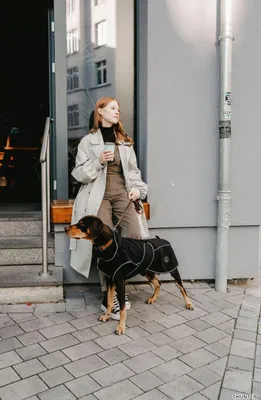 Produktbild von HUNTER Hundemantel Uppsala Softshell 50, schwarz