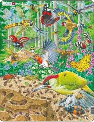 Immagine prodotto di Puzzle del formicaio 40 pezzi - Gioco educativo per bambini e adulti