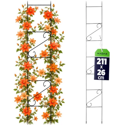 Zdjęcie produktu dla KADAX Drabina Podpora Girlanda Ogrodowa Na Kwiaty 210cm