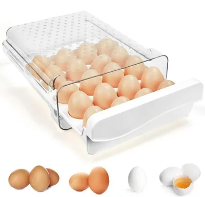 Immagine prodotto di Solidchoice - Portauova per frigorifero, per 20 uova