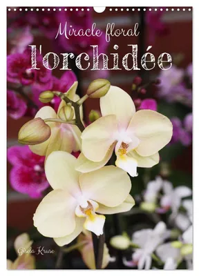 Obrázek produktu pro Nástěnný kalendář s orchidejemi, rok 2026, formát A3