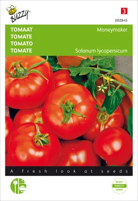Produktbild von Tomate Moneymaker | Stabtomatensamen von Buzzy Seeds