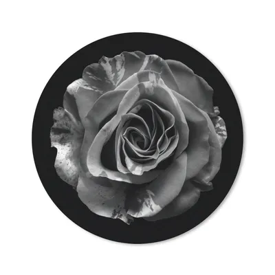 Produktbild von MuchoWow® Mauspad Mousepad Blumen - Rose - Schwarz - Weiß - Botanisch 30x30 cm - Mousepads - Maus Mat - Pad - Mausunterlage - Tischunterlage - Schreibtischmatten