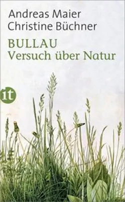 Zdjęcie produktu dla Bullau