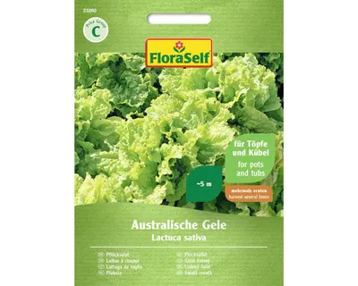 Obrázek produktu pro Salát listový Australische Gele FloraSelf
