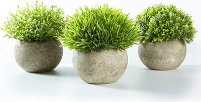 Produktbild von Set mit 3 künstlichen grünen Gras Pflanzen in grauen Töpfen, kleine dekorative Faux Plastik Pflanzen, ideal für Heim Büro Bad Küche und Outdoor Dekoration