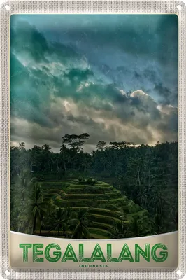 Produktbild von Blechschild Reise 40x30cm Tegalalang Indonesien Asien Tropen