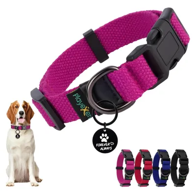 Image de Collier pour chien, réglable, souple, de 25 à 40 cm, pour chiots