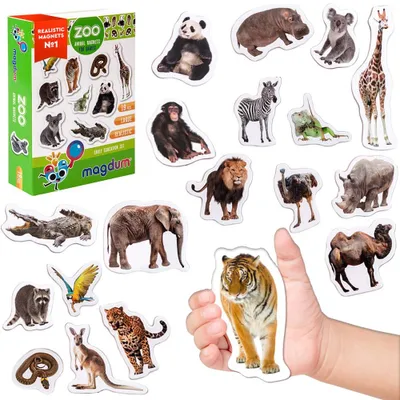 Productafbeelding van Magdum koelkastmagneten voor kinderen – 19 dierenmagneten – educatief speelgoed