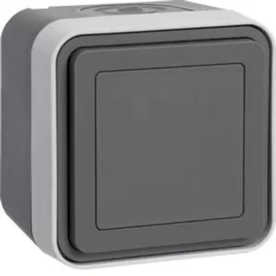 Produktbild von Berker 42903515, Grau, Berker W.1, IP55, 1 Stück(e)
