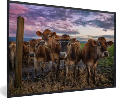 Produktbild von MuchoWow® Gerahmtes Poster Kuh - Tiere - Kühe 30x20 cm - Poster mit Schwarzem Bilderrahmen Wandposter Rahmen Foto Bilder - Kunstdruck - Bild-Poster