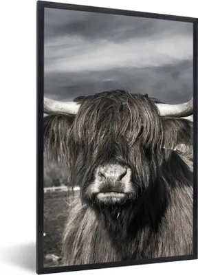 Produktbild von MuchoWow® Gerahmtes Poster Schottischer Highlander - Tiere - Hörner 20x30 cm - Poster mit Schwarzem Bilderrahmen Wandposter Rahmen Foto Bilder - Drucken - Bilder Poster im Rahmen