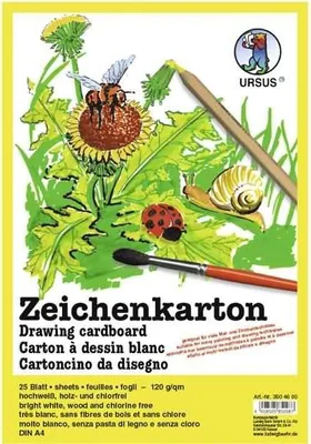Produktbild von Zeichenkarton 120g/qm A4 VE=25 Blatt