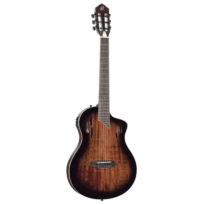 Produktbild von Ortega RTPDLX-ACA TourPlayer Deluxe