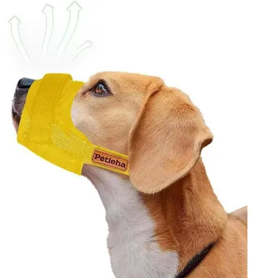 Image de Panier de transport pour chiens en filet souple, réglable, taille M, couleur jaune