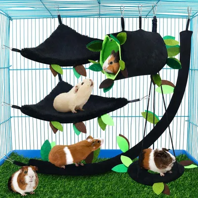 Image de Ensemble de 5 hamacs pour hamsters, motif Bospattern, pour petits animaux, accessoire pour cage