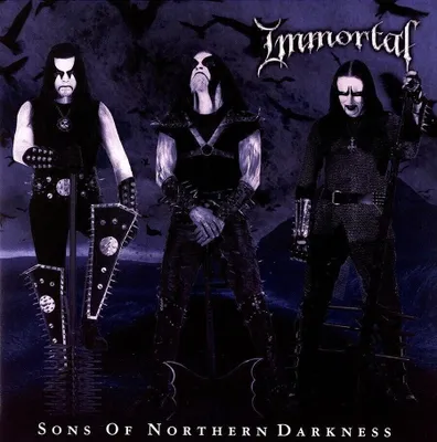 Zdjęcie produktu dla Immortal - Sons Of Norhern Darkness (Gatefold Sleeve) (2 LP)