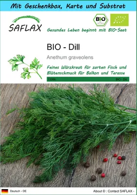 Produktbild von SAFLAX - Geschenk Set - BIO - Dill - 700 Samen - Mit Geschenk- / Versandbox, Versandaufkleber, Geschenkkarte und Anzuchtsubstrat - Anethum graveolens