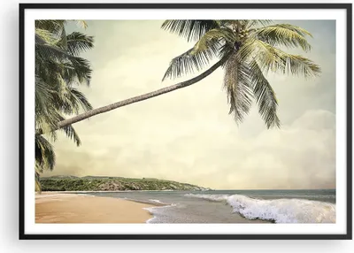 Produktbild von Gerahmtes Poster - Schwarzer Rahmen - Palme Strand Insel - 100x70 cm - Wand Bild - Wanddeko - Wandbilder - Kunstposter - Wandposter - Bilderrahmen - Bilder - Kunstdruck - Wandbild - P2BAA100x70-4154