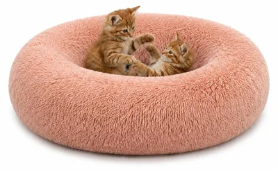 Produktbild von lionto Donut Katzenkissen, rundes Bett mit Plüschbezug & Anti-Rutsch-Boden, erhöhter Rand für Geborgenheit, 70 cm Durchmesser, rosa
