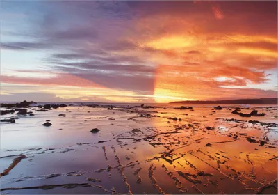 Produktbild von Wallario Poster - Wattwanderung am Meer bei Sonnenuntergang, Kunstdruck Größe: 70 x 100 cm